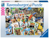 Ravensburger pusle 1000 tk Reisija pildialbum 173228V