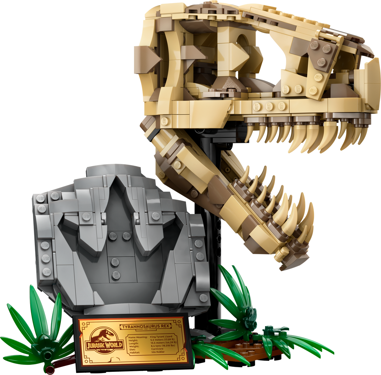 LEGO Jurassic World Dinosauruse Fossiilid: T. Rexi Pealuu 76964L