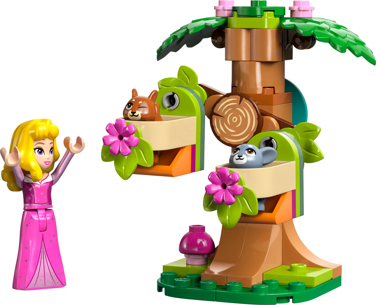 LEGO Disney Aurora metsa mänguväljak 30671L