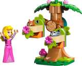 LEGO Disney Aurora metsa mänguväljak 30671L